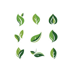 set of Different leaf design vector illustration