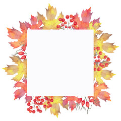 Square autumn frame of fall leaves with rowan berries, rose hips. Hand drawn botanical background. Watercolor illustration. Banner for invitations, quotes and decorations for Thanksgiving, Halloween