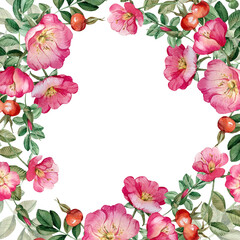 Rose hip frame isolated on white background. Hand drawn watercolor pink wild rose flowers, buds, berries and leaves. For tea, oil and cosmetics label, packaging design, wedding invitation