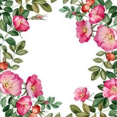 Rose hip frame isolated on white background. Hand drawn watercolor pink wild rose flowers, buds, berries and leaves. For tea, oil and cosmetics label, packaging design, wedding invitation