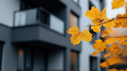 Obraz premium A vivid close-up of orange autumn leaves with a blurred backdrop of a modern residential building, highlighting the harmony between nature and urban living.