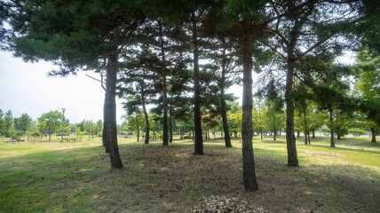 한국의 공원 풍경