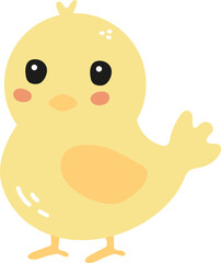Cute chick