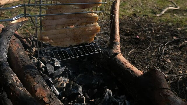 White pollock fish with spices grilling on metal grid on bonfire in nature camping. Cooking preparing frying fresh healthy food. Frying fish on hot coals. Cook cuisine on picnic, bbq barbeque.