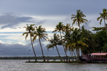 beach with palm trees