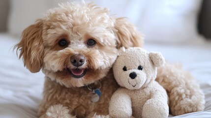 Teddy-dog --ar 16:9 --style raw --v 6.1 Job ID: d78841be-3fa2-4766-bb27-de50d20ad651