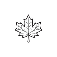 Obraz premium Thin Line Maple Leaf Design - Modern Autumn Symbol.