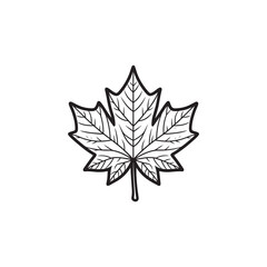 Modern Maple Leaf Icon - Thin Line Style for Autumn.
