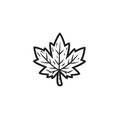 Obraz premium Modern Maple Leaf Icon - Thin Line Style for Autumn.