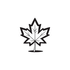 Modern Maple Leaf Icon - Thin Line Style for Autumn.