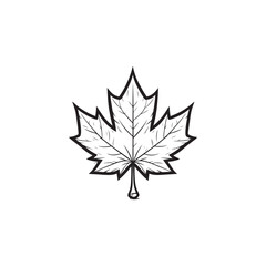 Autumn Maple Leaf Icon - Clean, Thin Line Design.