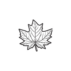 Thin Line Maple Leaf Icon - Modern Autumn Symbol Illustration.