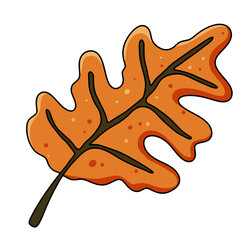 เลเยอร์ 23