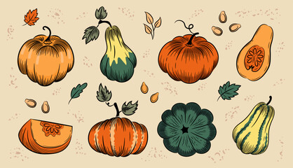 Autumn pumpkin sketch set. Whole pumpkins of various shapes, piece of pumpkin, leaves and seeds. Color hand-drawn vector illustration clipart.