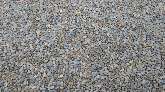 Video showcases a vibrant gravel texture. It is great for outdoor projects like pathways or gardens. The stones blend well with nature. Use it for landscaping inspiration