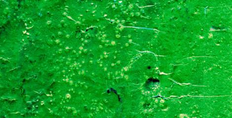 Seamless Artistic Design Featuring Light and Liquid Colors