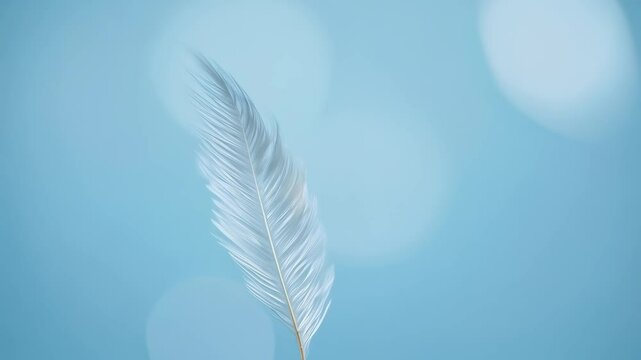 A single feather floats gracefully in the air, symbolizing release and effortless relaxation.