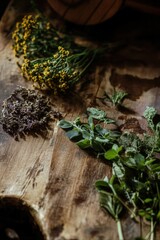 Herbs and Twigs Arranged on Rustic Wooden Table
