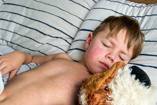 adventure climbing high wire park - people on course in mountain helmet and safety equipment. High quality photo. High quality photo