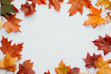 Beautiful Maple Leaves Showcasing Fall’s Splendor