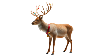 Renne réaliste avec décoration de Noël isolé