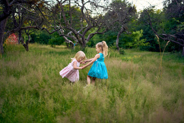 Fototapeta premium little sisters in dresses playing together in the tall grass