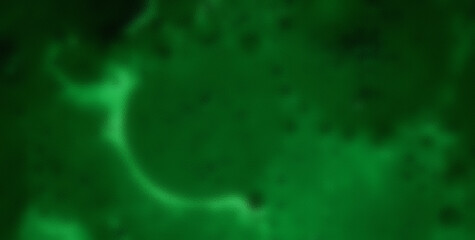 Seamless Color and Grunge Patterns in an Abstract Illustration
