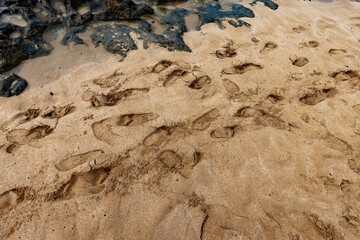Footprints in the Sand