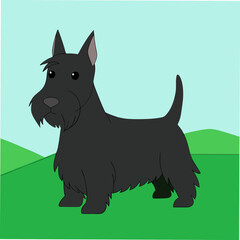 A charming vector art illustration of a Scottie Scottish Terrier Dog, capturing its iconic beard, sturdy build, and loyal expression, perfect for pet lovers and breed-specific designs.