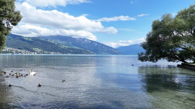Thuner See, Berner Oberland, Alpenpanorama, Park