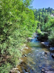 Obraz premium mountain river in the forest