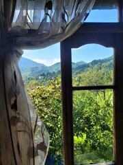 view from the window