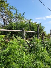 landscape, fence, nature