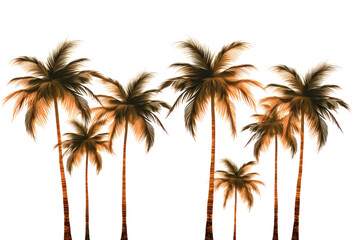 Palm trees stand out on a white background. Showing swaying palm leaves