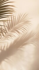 Obraz premium Palm shadows on a wall