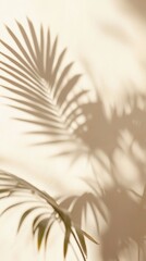 Fototapeta premium Palm leaf shadows on wall