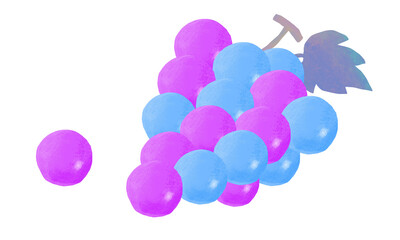 水彩で描いたぶどうのイラスト