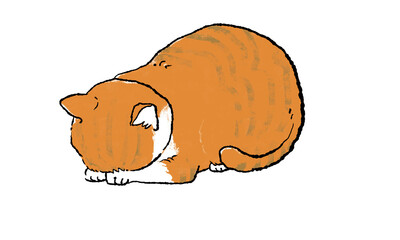 ごめん寝をする茶トラ猫