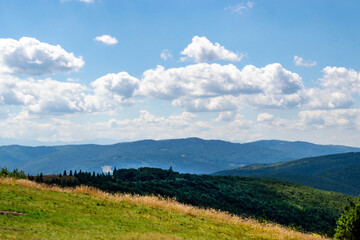 Green forest natural landscape on the mountain in summer. Beautiful colorful summer spring natural landscape in Park surrounded by green foliage of trees in sunlight. High quality photo