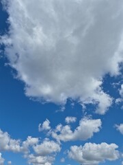 White cumulus clouds in the summer sky background