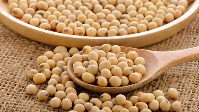 dried soybean