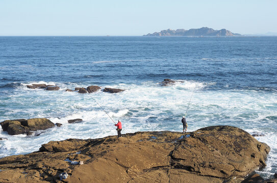 Pesca