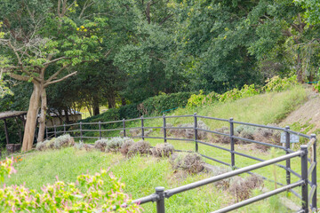 	赤羽緑地公園　茨城