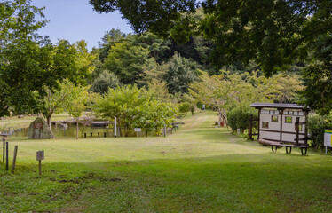 Obraz premium 赤羽緑地公園 茨城