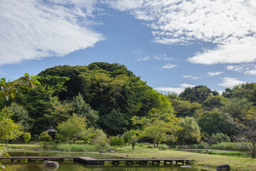 Fototapeta premium 赤羽緑地公園 茨城
