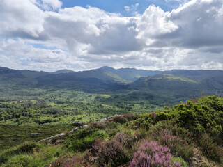 Obraz premium Green hills under blue summer sky landscape in Ireland