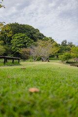 赤羽緑地公園　茨城