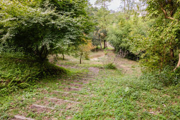 赤羽緑地公園　茨城