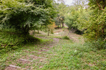 赤羽緑地公園　茨城
