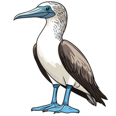 Blue footed Booby transparent icon | Icon | Anime